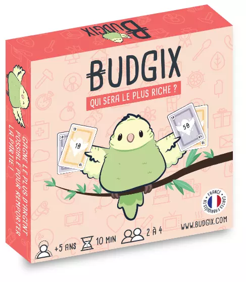 BUDGIX - jeu de société pour initier les enfants à l'argent