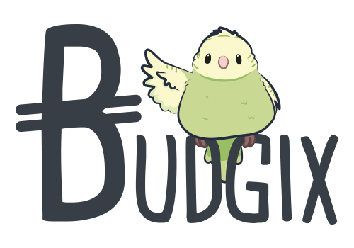 BUDGIX - jeu de société pour initier les enfants à l'argent