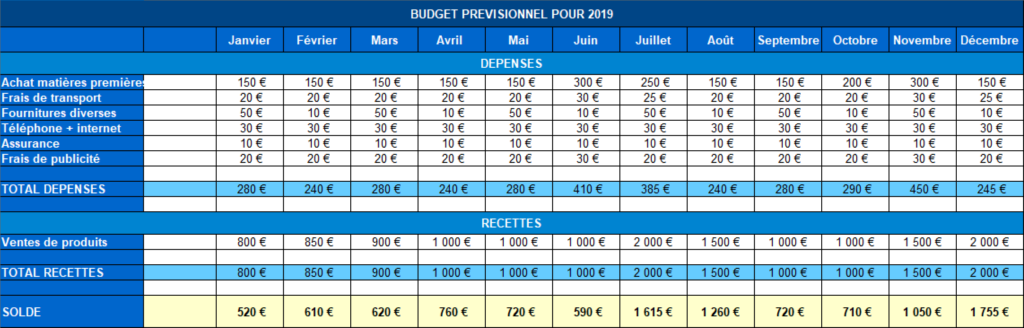 Exemple de budget prévisionnel d'un auto-entrepreneur