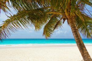 Qu’est-ce qu’un paradis fiscal ?