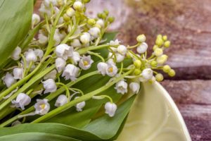 Combien coûte un brin de muguet ?