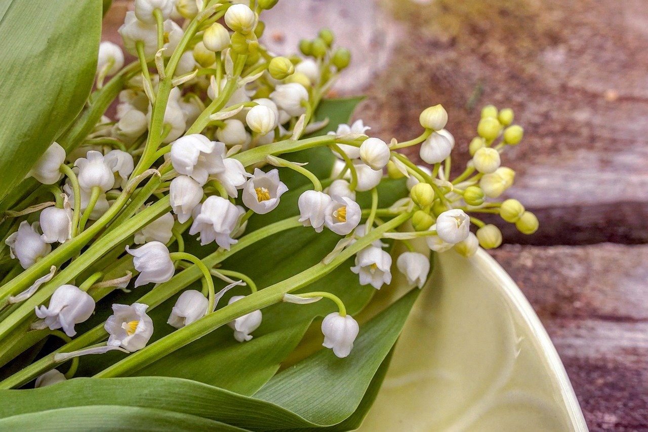 Combien coûte un brin de muguet ?